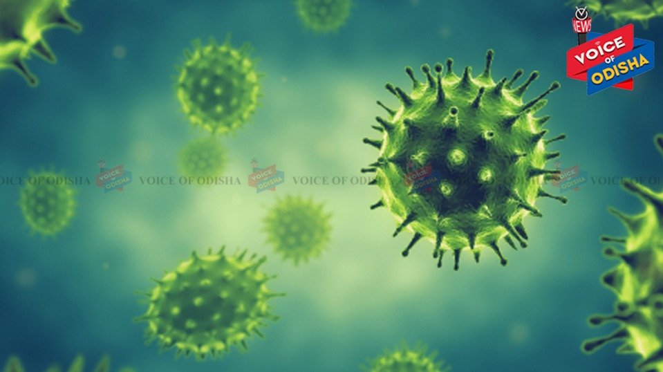 335 MORE TEST POSITIVE FOR COVID-19