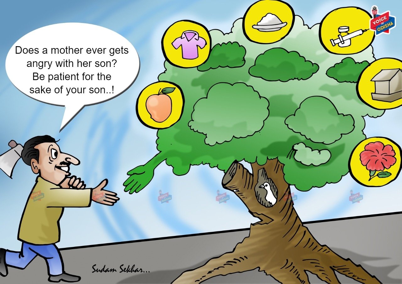 Deforestation 