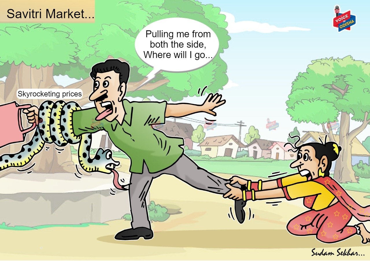 Savitri market cartoon