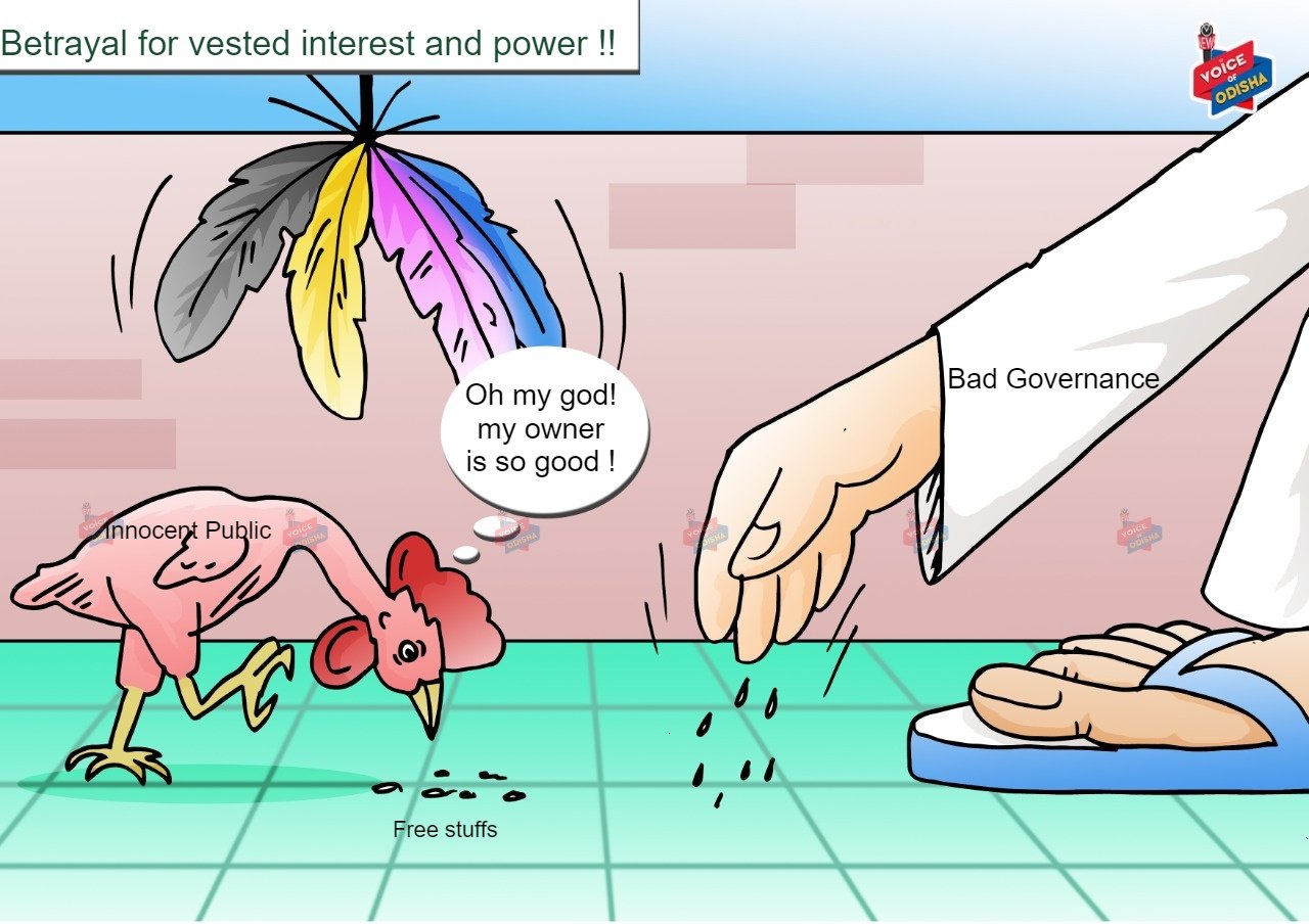 Bad governance cartoon