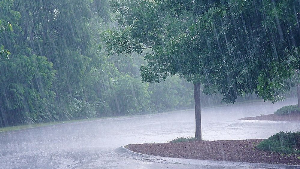 Heavy Rain To Drench Odisha For Next 5 Days