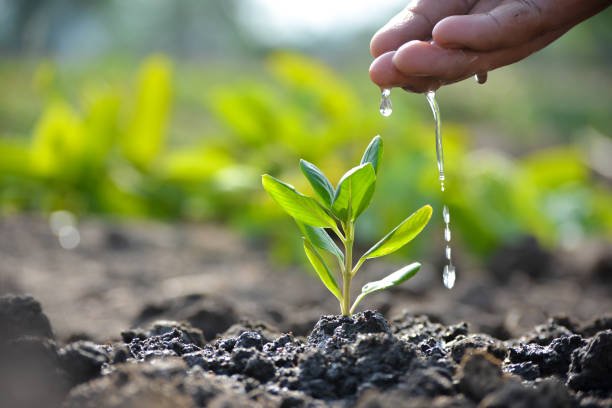 “HariyaliMahotsav” to be organized by Ministry of Environment, Forest & Climate Change