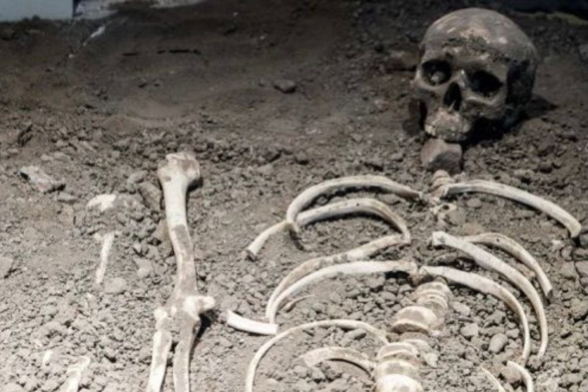 Human Skeleton found in Cashew jungle in Banki