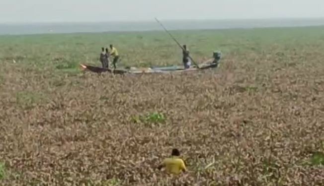 Boat Get Stuck For 3 Days in Chilika