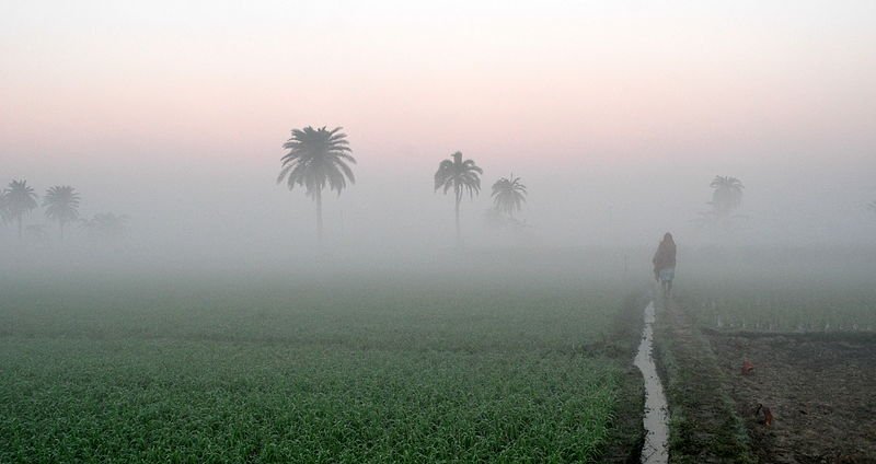 For the third day in a row, Daringbadi is the coldest place in Odisha