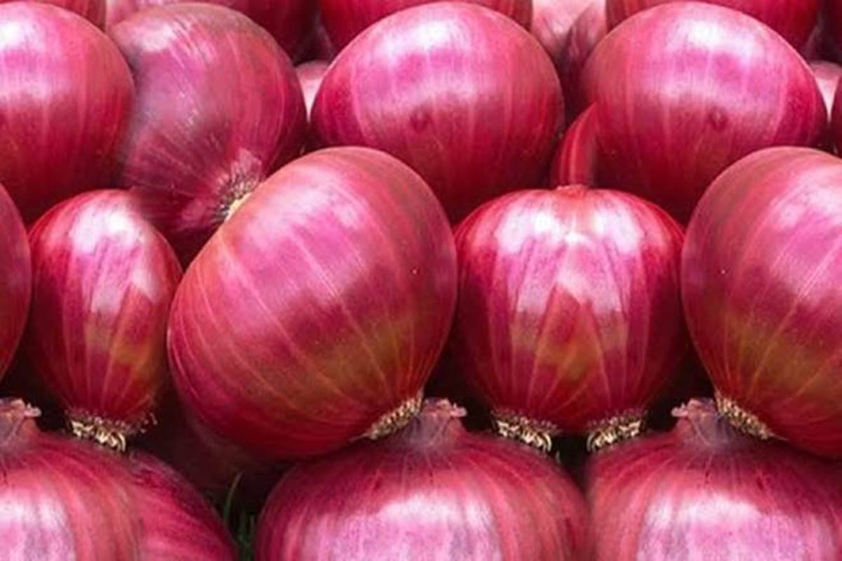 ଜାନୁଆରୀରେ ପିଆଜ ଶସ୍ତା ହେବ