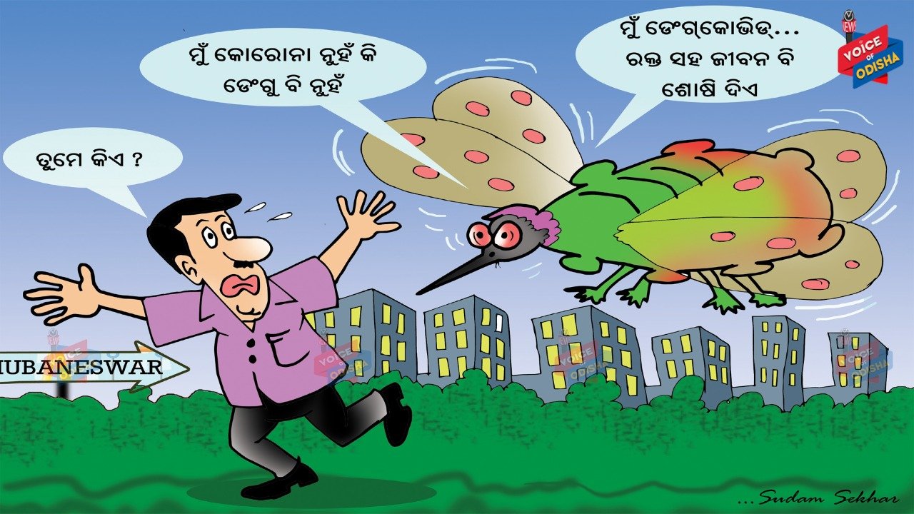 ମୁଁ ଡେଂଗକୋଭିଡ...ରକ୍ତ ସହ ଜୀବନ ବି ଶୋଷି ଦିଏ