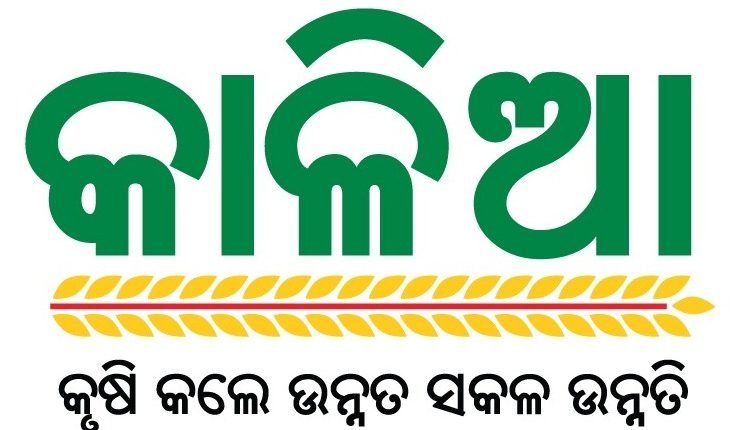 ୭୫ ଲକ୍ଷ କାଳିଆ ହିତାଧିକାରୀଙ୍କ ପାଇଁ ଲୋଡ଼ା ୩୨୩୪ କୋଟି : କୃଷି ଗଣନା ରିପୋର୍ଟ ଚାପି ରଖିଛି ପରିସଂଖ୍ୟାନ ବିଭାଗ