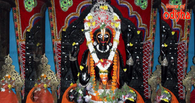 ଚାଲିଛି ଶ୍ରୀଅଲାରନାଥଙ୍କ ଦର୍ଶନ