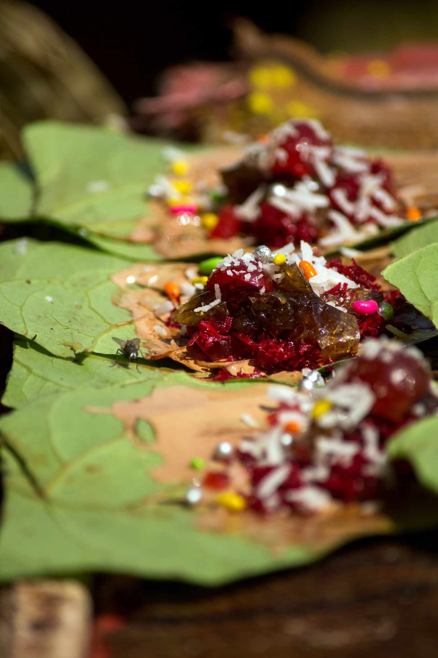 ପାନ ଖାଇବା ପରେ ଭୁଲରେ କରନ୍ତୁ ନାହିଁ ଏହିସବୁ ଭୁଲ 