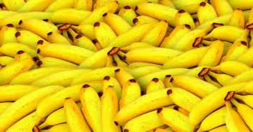୨୦୫୦ ବେଳକୁ କଦଳୀ ମିଳିବନି! 