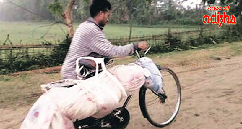 ସାଇକେଲରେ ବୁହା ହେଲା ଶବ