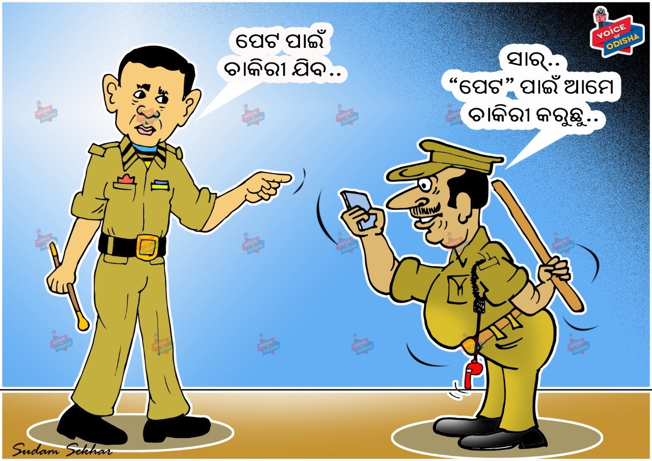 ପେଟ ପାଇଁ ନାଟ 
