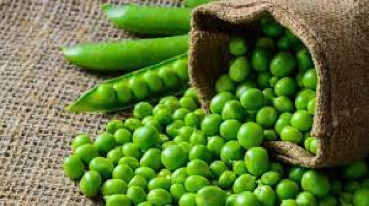 ଗ୍ରୀନ ମଟର...