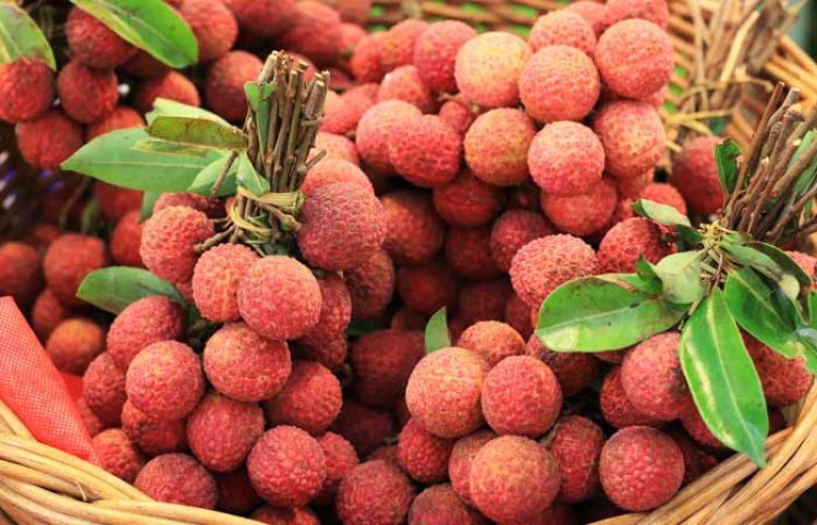 ଖାଆନ୍ତୁ ନାହିଁ ଅଧିକ ଲିଚି, ଜାଣନ୍ତୁ କ’ଣ ହେବ ଅସୁବିଧା ?