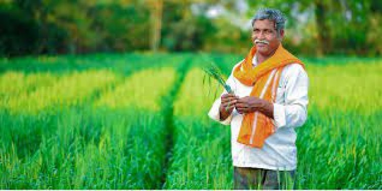 ଚାଷୀଙ୍କ ପାଇଁ ଖୁସି ଖବର: ୩ ବର୍ଷ ପାଇଁ ମାଗଣା ଶସ୍ୟବୀମା