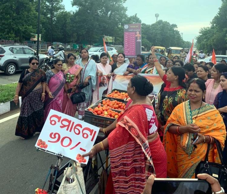 ପନିପରିବାର ଅହେତୁକ ଦର ପ୍ରତିବାଦରେ ପ୍ରଦେଶ  ମହିଳା କଂଗ୍ରେସ ପକ୍ଷରୁ ବିକ୍ଷୋଭ