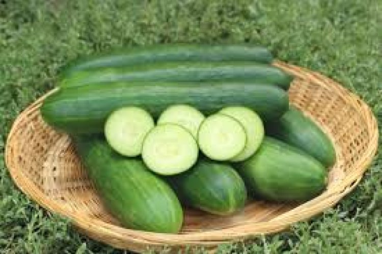 ରାତିରେ କାକୁଡି ଖାଇବା ଅନୁଚିତ