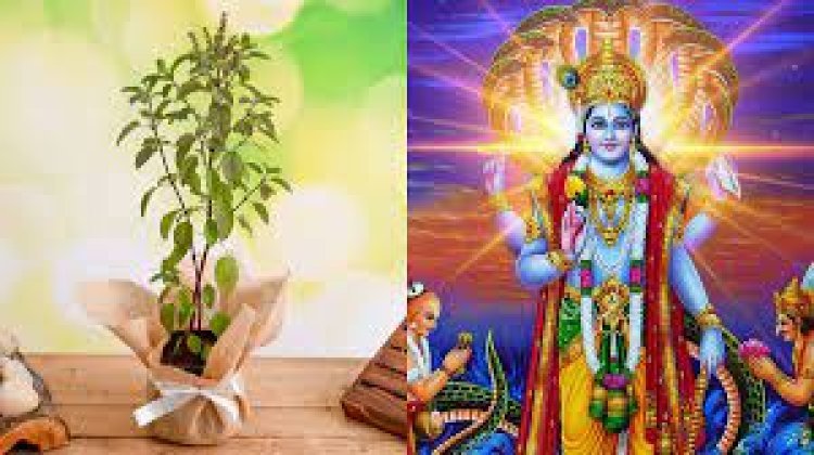 ତୁଳସୀ ମାହାତ୍ମ୍ୟ : ବ୍ରହ୍ମା ଙ୍କ ବରଦାନ