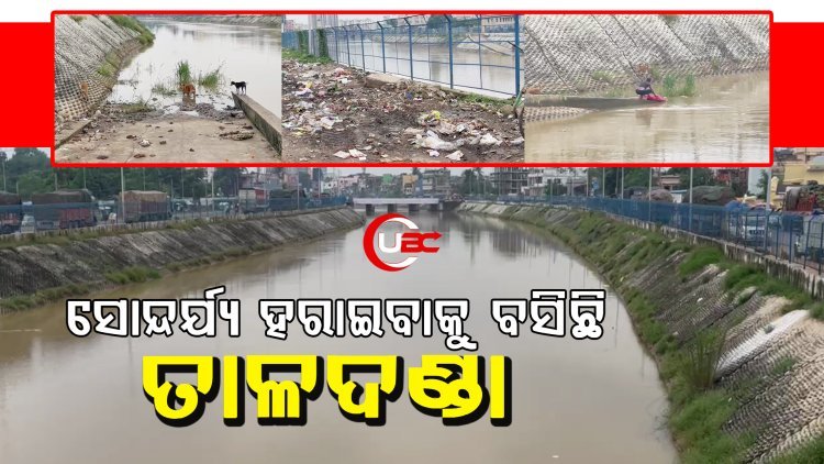 ସୋନ୍ଦର୍ଯ୍ୟ ହରାଇବାକୁ ବସିଲାଣି କଟକ ତାଳଦଣ୍ଡା କେନାଲ