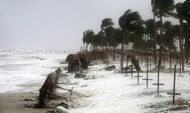 Members of Mission Shakti in 14 cyclone-prone districts of Odisha will receive training in disaster management.
