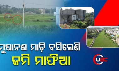 ନଦୀନାଳ ମାଡ଼ି ବସିଲେଣି ଜମି ମାଫିଆ।